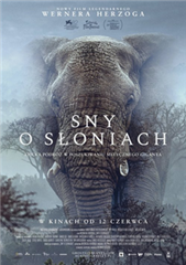 Sny o słoniach